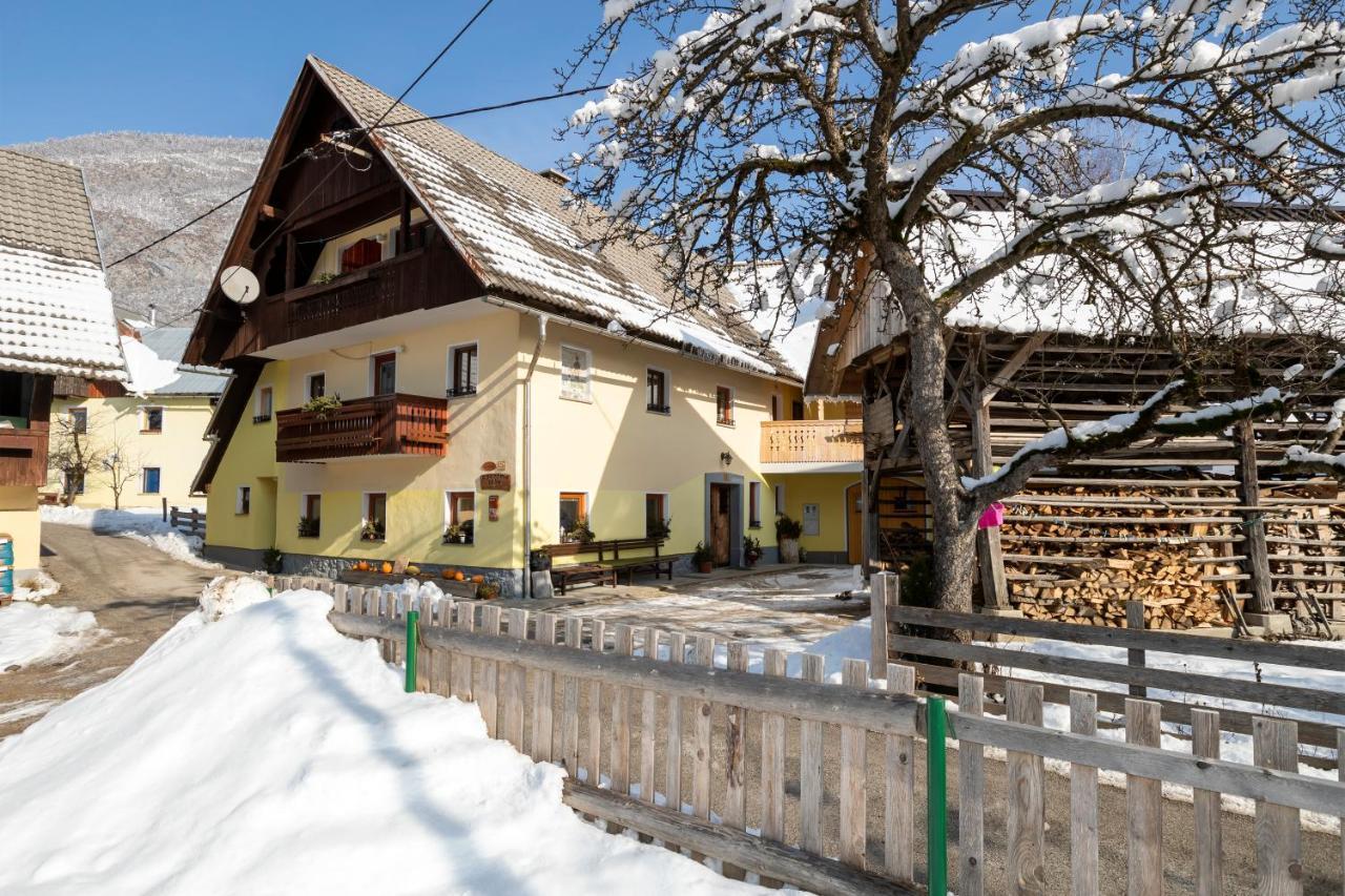 Farmhouse Pri Miklavu بوينج المظهر الخارجي الصورة